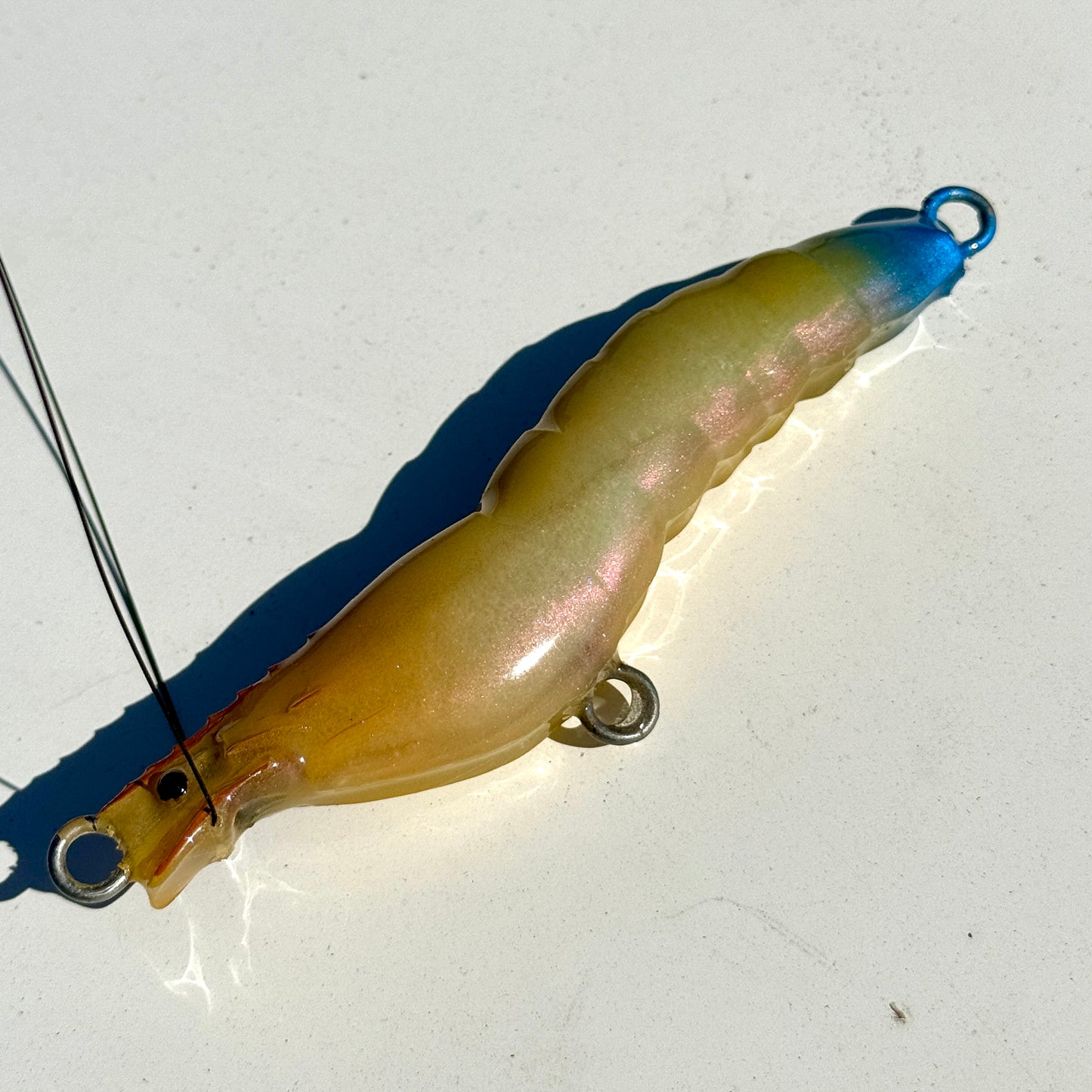 Monodon 120 King Prawn