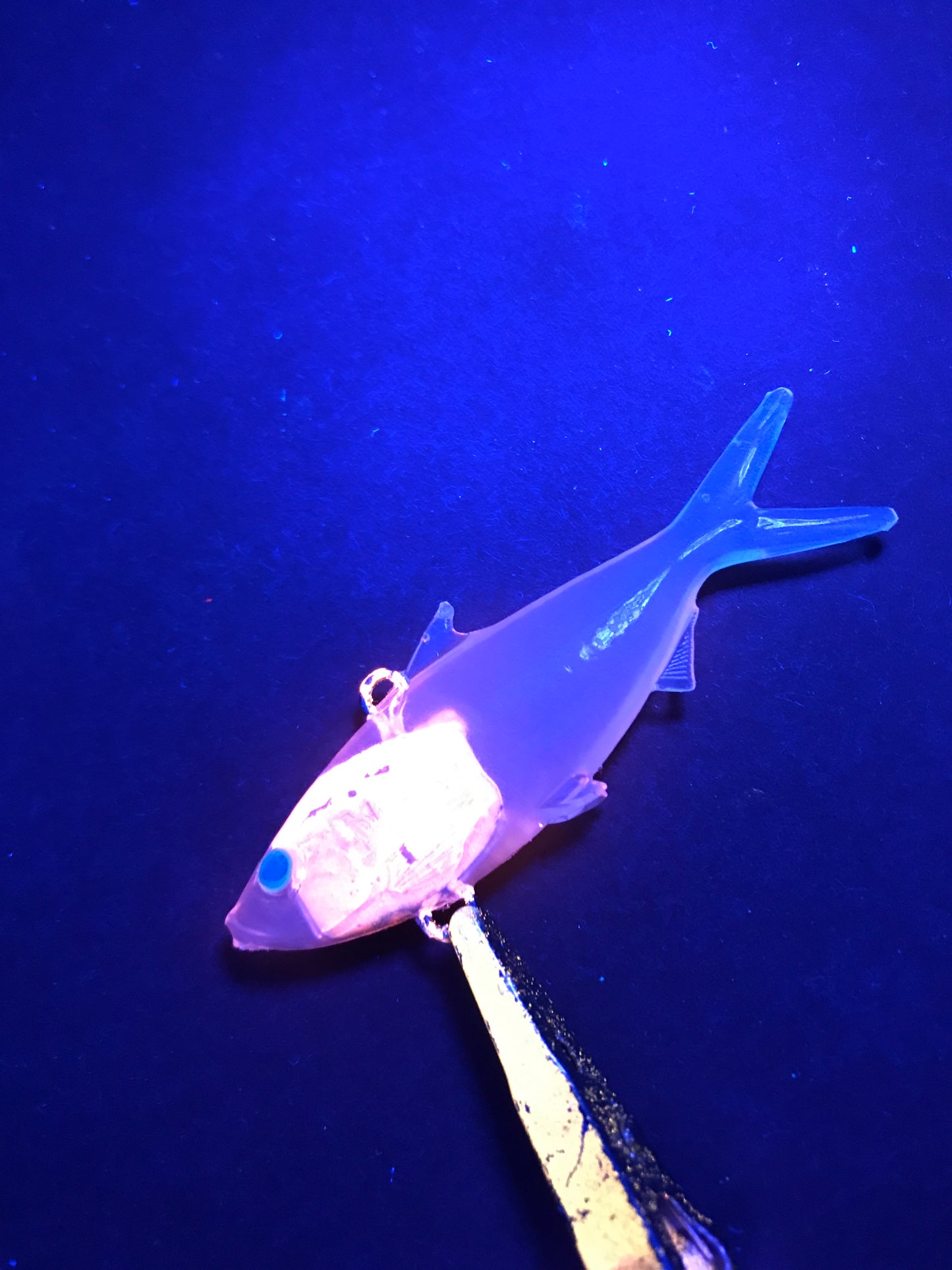 Herring 55 Purple Ghost